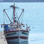 Paimpol-39