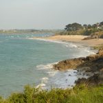 plages de Saint jacut 150505 (12)