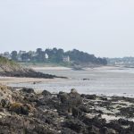 plages de Saint jacut 150505 (22)