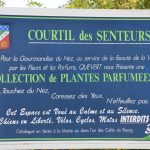 courtil des senteurs 3